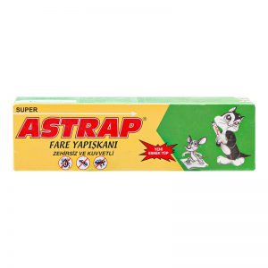 Fare yapışkanı