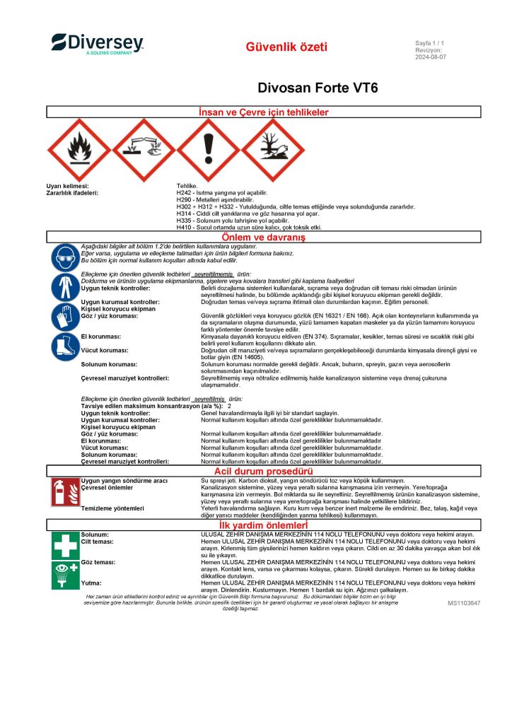 Diversey Divosan Forte VT6 Perasetik Asit Bazlı Dezenfektan 20L